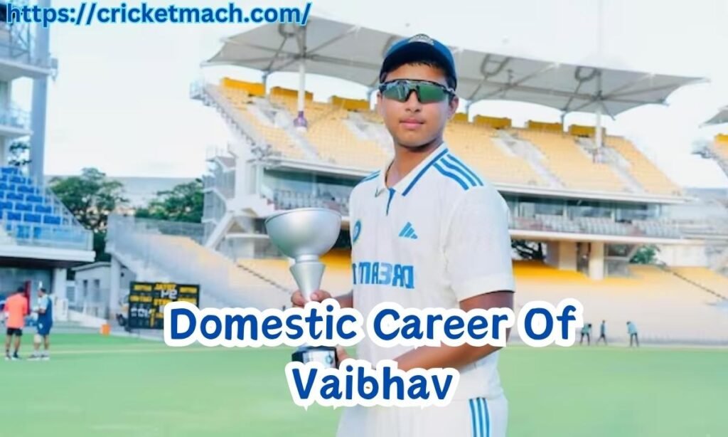Domestic Career Of Vaibhav