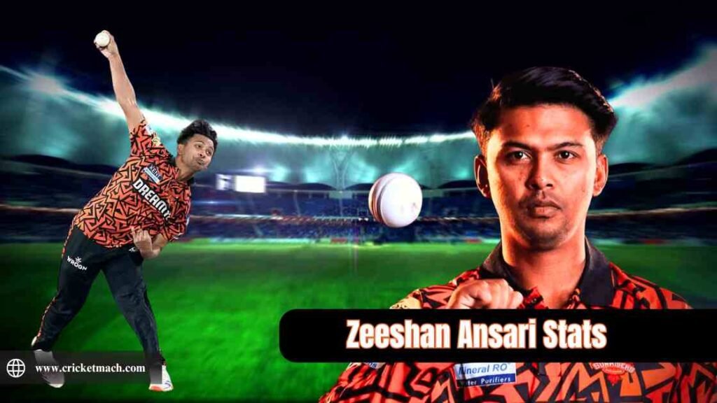 Zeeshan Ansari Cricket Stats (2016 to 2025)